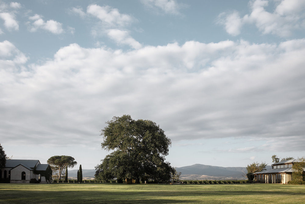 The Stones Coterie.jpg